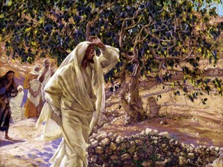 Accursed Fig Tree by James Tissot
http://freechristimages.org/biblestories/jesus_curses_the_tree.htm