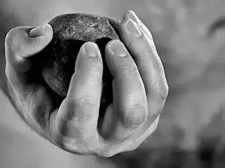 b & w hand holding a stone