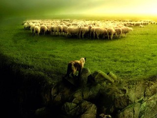 1fb76d2044_jesus-5-13-shepherd-leadership