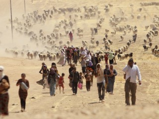 Displaced people from the minority Yazidi sect, fleeing violence from forces loyal to the Islamic State in Sinjar town, walk towards the Syrian border, on the outskirts of Sinjar mountain, near the Syrian border town of Elierbeh of Al-Hasakah Governorate August 10, 2014. Islamic State militants have killed at least 500 members of Iraq's Yazidi ethnic minority during their offensive in the north, Iraq's human rights minister told Reuters on Sunday. The Islamic State, which has declared a caliphate in parts of Iraq and Syria, has prompted tens of thousands of Yazidis and Christians to flee for their lives during their push to within a 30-minute drive of the Kurdish regional capital Arbil. Picture taken August 10, 2014. REUTERS/Rodi Said (IRAQ - Tags: POLITICS CIVIL UNREST CONFLICT TPX IMAGES OF THE DAY) - RTR41YW4