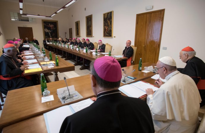 20180416T0852-16782-CNS-POPE-SYNOD-AMAZON-690x450