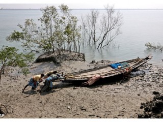 dân chài ở Sundarbans - AP
