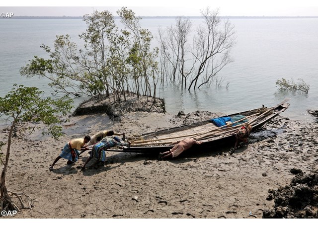 dân chài ở Sundarbans - AP