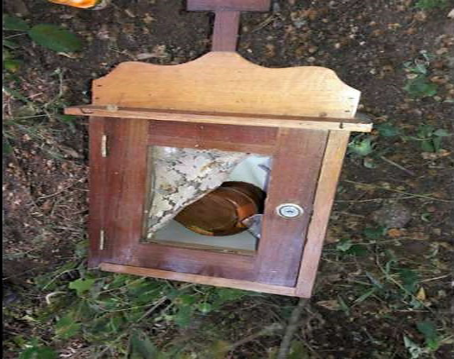 The_tabernacle_taken_from_St_Mark_the_Evangelist_parish_in_San_Rafael_del_Norte_Nicaragua_Credit_Diocese_of_Jinotega_CNA
