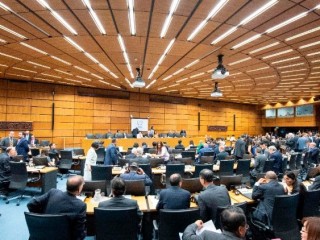 Hội nghị về năng lượng hạt nhân tại Vienne  (AFP or licensors)