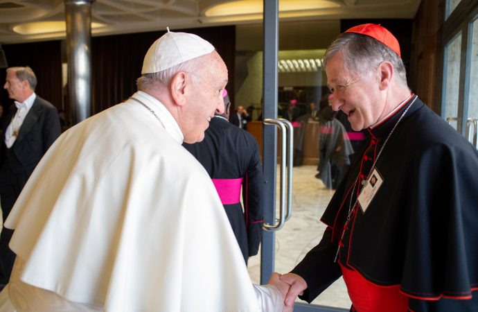 20181017T1011-21451-CNS-SYNOD-CATECHESIS-BELONGING-690x450