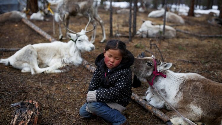 Thảo nguyên Mông Cổ  (REUTERS)