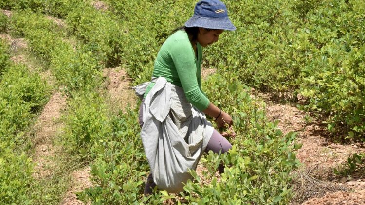 cq5dam.thumbnail.cropped.750.422