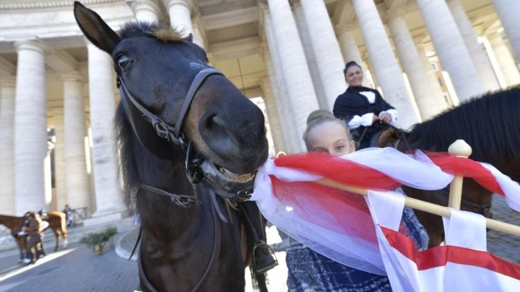 20190106 Pope Francis waves to pilgrimis present at the Angelus prayer 7
