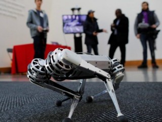 Giáo Hội trước sự phát triển của robot