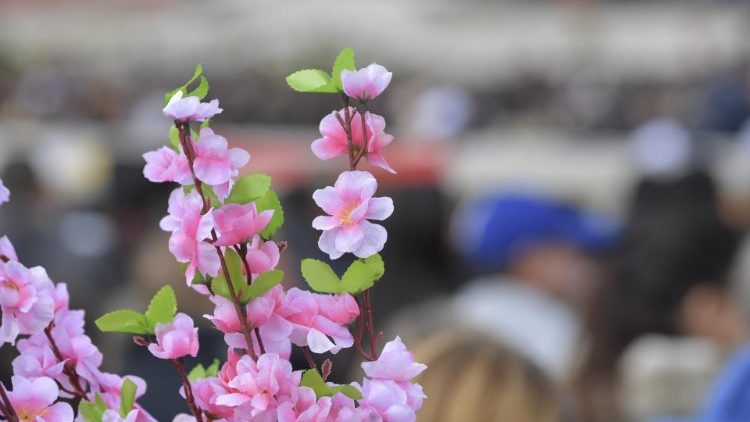 Lễ Lá tại Quảng trường Thánh Phêrô 14/04/2019 (Vatican Media)