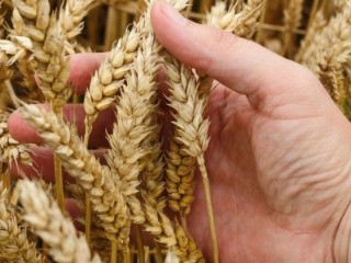 cq5dam.thumbnail.cropped.750.422