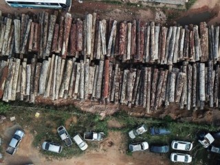 Khai thác gỗ bất hợp pháp tại khu rừng nhiệt đới Amazon ở Anapu, bang Para, Brazil.