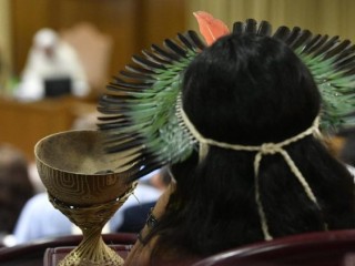 Đại Hội đồng thứ năm của THượng Hội đồng Giám mục về khu vực Amazon (Truyền thông Vaticann)