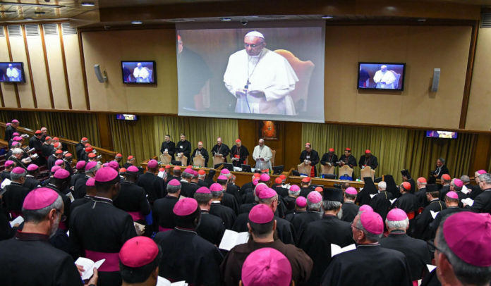 papa-en-el-sinodo-7031-696x406