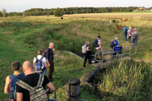 wLangs-de-Beerze-PeerkePad-300x200