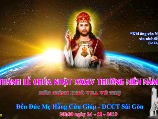 11-24-2019-thanh-le-cn-20h