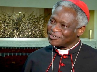 Tổng Trưởng Thánh Bộ Cổ võ sự Phát triển Con người Toàn diện, Đức Hồng y Peter Turkson