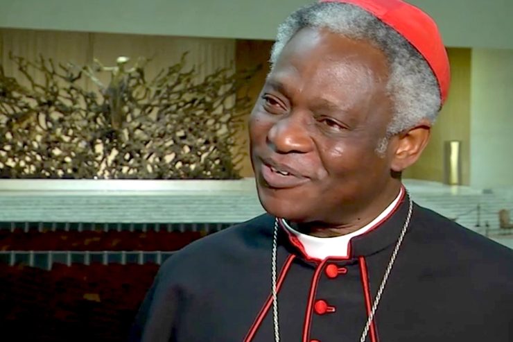 Tổng Trưởng Thánh Bộ Cổ võ sự Phát triển Con người Toàn diện, Đức Hồng y Peter Turkson