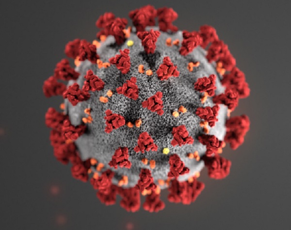 coronavirus