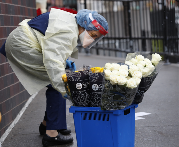 Một y tá trong phòng cấp cứu vận chuyển một thùng hoa được tặng lên một đoạn đường dẫn đến phòng cấp cứu bên ngoài Trung tâm bệnh viện Elmhurst ở New York, Thứ Bảy, ngày 28 tháng 3 năm 2020. (Ảnh AP / Kathy Willens)