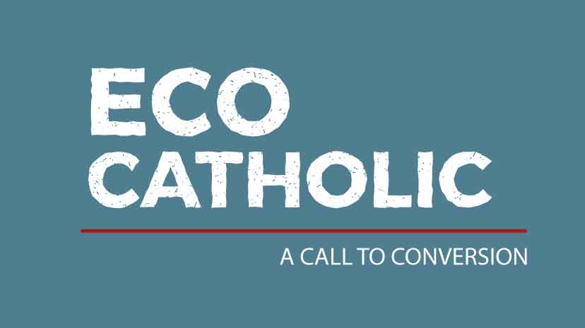 87578512_106239694316471_2955232052800126976_n