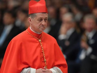 ct-blase-cupich-elevated-to-cardinal-20161119-002