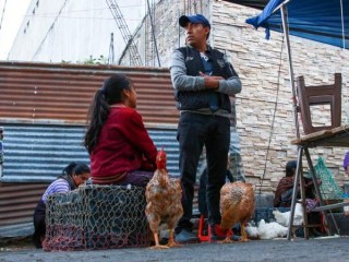 Diego Ramirez, một người cha độc thân của ba cô gái tuổi teen ở Guatemala, đứng giữa gia đình và những chú gà trong bức ảnh không viền này. Với nhà hàng và thị trường nơi Ramirez đã làm việc bị đóng cửa trong đại dịch coronavirus, anh ta hiện đang bán từng con gà của mình, để giữ cho gia đình của mình nổi lên về mặt tài chính. Đối mặt với một tương lai không chắc chắn, đức tin của anh ấy giữ anh ấy đi. (Tín dụng: ảnh CNS / lịch sự Không giới hạn.)