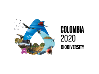 4243c973-english_wed_triangle_spanish_web-2048x1380