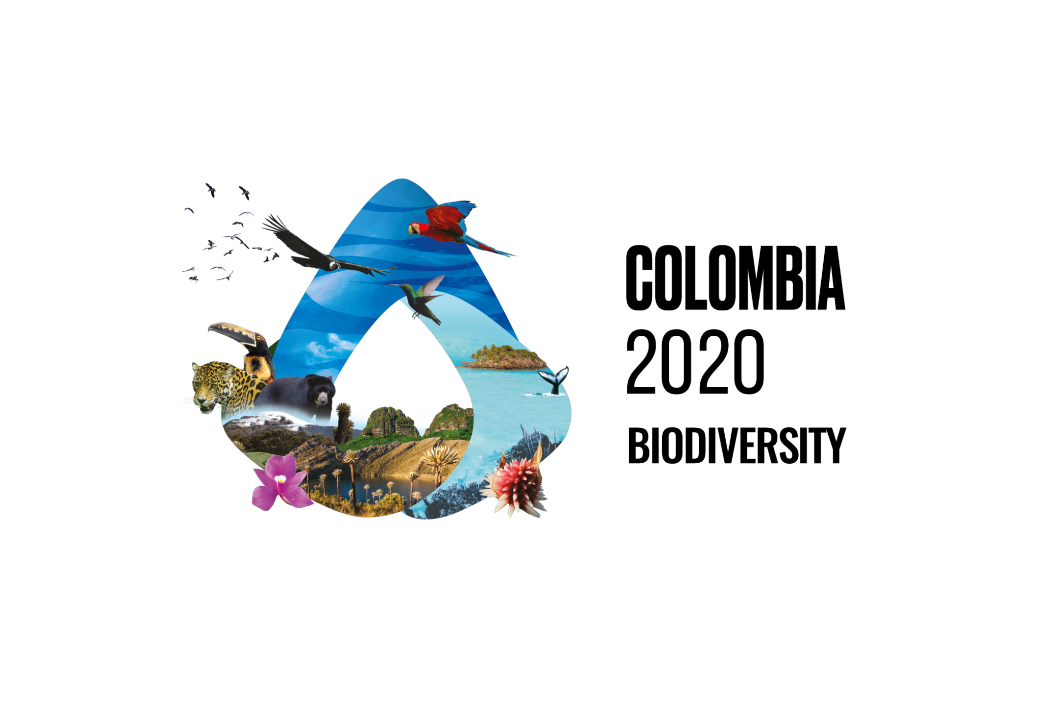 4243c973-english_wed_triangle_spanish_web-2048x1380