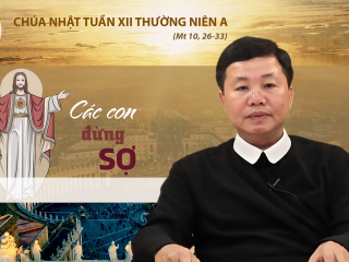 Cha phong CN 12