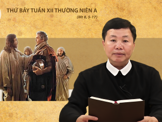 Cha phong t7 12