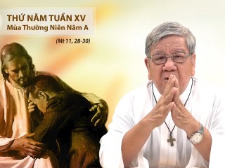 Loi Chua - Thu Nam Tuan XV Mua Thuong Nien Nam A - 16-07-2020.mp4_snapshot_03.48.027