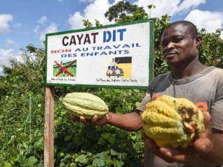 Một nông dân trồng ca cao của một hợp tác xã nông nghiệp ở Bờ Biển Ngà nói rằng đó là lao động trẻ em (Ảnh: AFP)