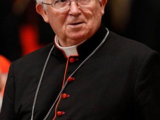 Hồng y Antonio Canizares Llovera người Tây Ban Nha thuộc Địa phận Valencia được chụp trong một bức ảnh tập tin năm 2013. (Nguồn: Paul Haring / CNS)