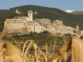 Trong bức ảnh tập tin năm 2011 này, Vương cung thánh đường Thánh Phanxicô với tháp chuông được vẽ bên ngoài cánh đồng ngô ở Assisi, Ý. (Ảnh CNS / Paul Haring)