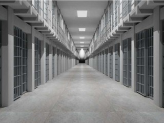 Ảnh: Gts / Shutterstock