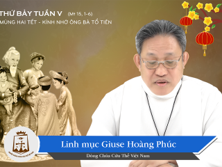 Cha Hoang Phuc T7 5