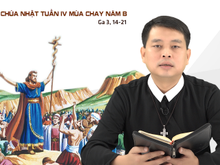Cha Huong CN