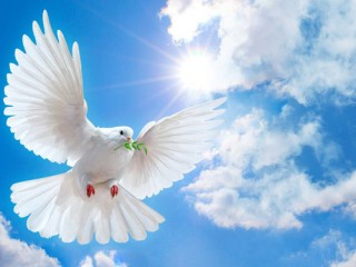 photo1594959649568-1594959649772477219782