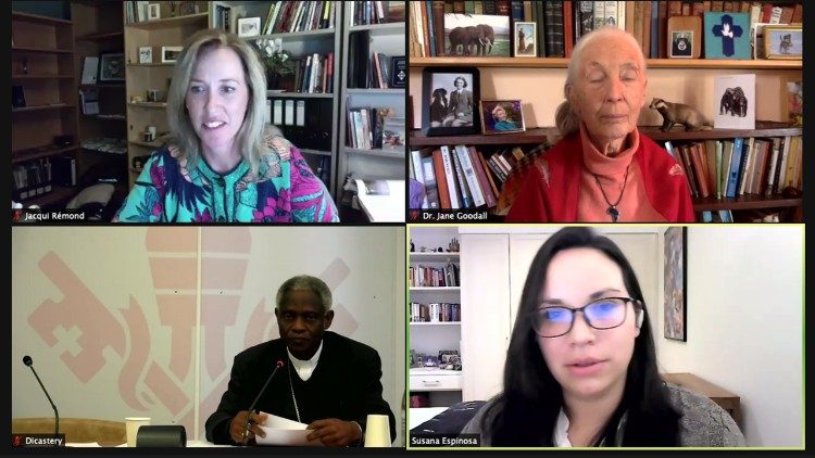 Hội thảo trên web về Đa dạng sinh học do Thánh Bộ Cổ võ sự Phát triển Con người Toàn diện tổ chức