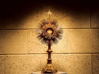 417c4a4f004e01d34c4cd4504df1fe06_XL