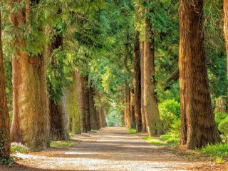 cq5dam.thumbnail.cropped.750.422