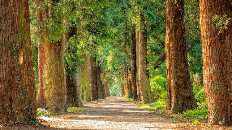 cq5dam.thumbnail.cropped.750.422