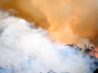 Cháy rừng ở Úc (Ảnh: AFP)