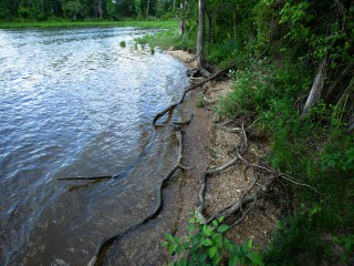Nhánh sông Mattawoman Creek được nhìn thấy tại Công viên Tiểu bang Smallwood ở Marbury, Md., Ngày 23 tháng 5 năm 2021. Thông điệp năm 2015 của Đức Thánh Cha Phanxicô "Laudato Si ', về Chăm sóc Ngôi nhà Chung của chúng ta" được ca ngợi vì phạm vi của nó về phản ứng luân lý và đạo đức để bảo vệ môi trường của trái đất cho các thế hệ tương lai (Ảnh: Tyler Orsburn / CNS)