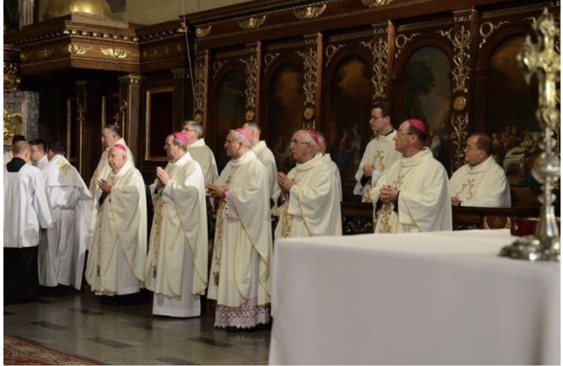 (Ảnh: Opiekun.kalisz.pl)