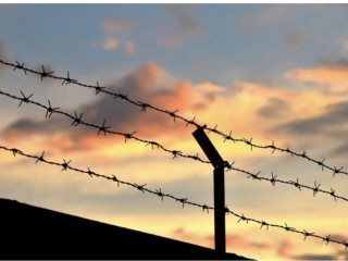 Hàng rào dây thép gai (Ảnh: PIMPUN TAWAKOON / Shutterstock)