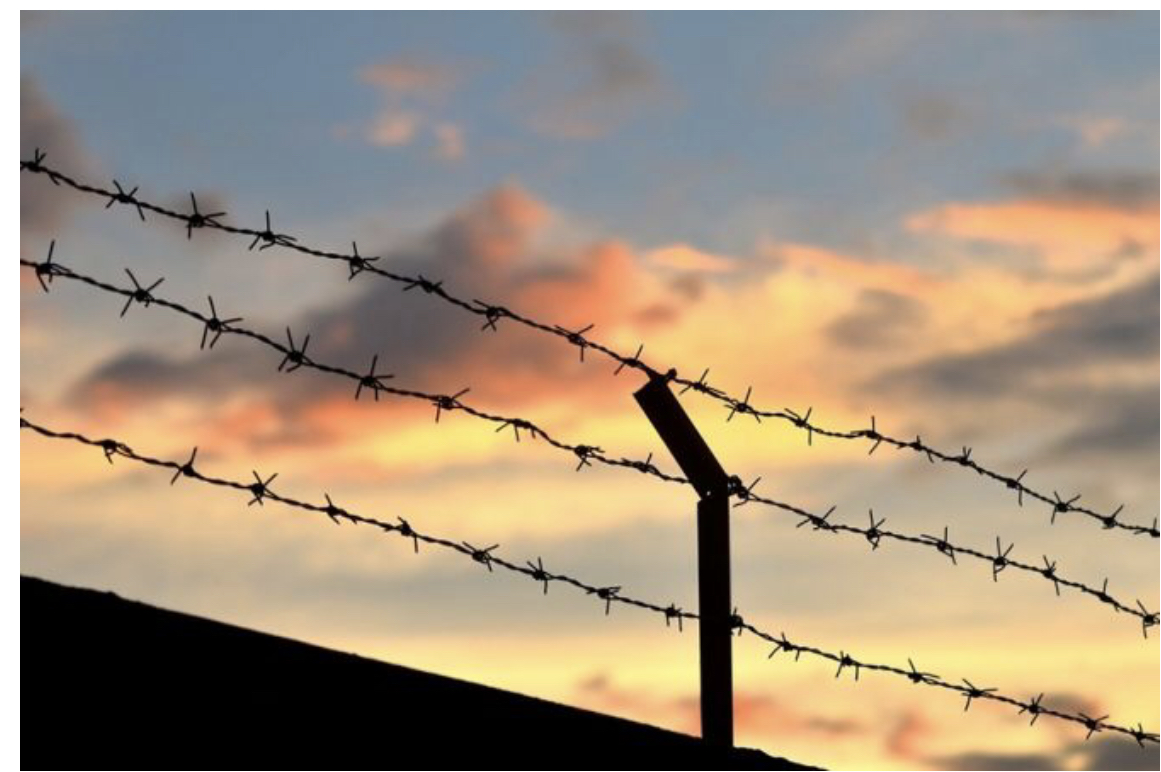 Hàng rào dây thép gai (Ảnh: PIMPUN TAWAKOON / Shutterstock)