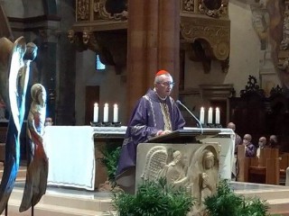 Đức Hồng Y Pietro Parolin cử hành Thánh lễ kết thúc Lễ hội Học thuyết Xã hội của Giáo hội ở Verona, 28.11.2021)